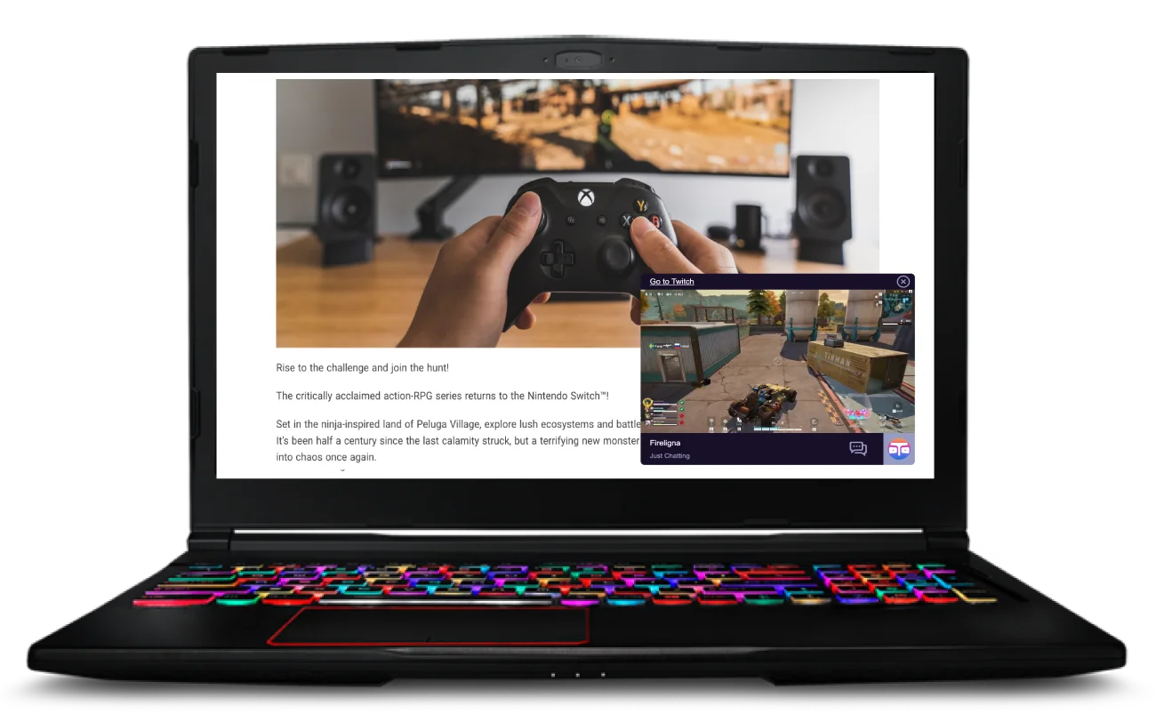 Streamer View